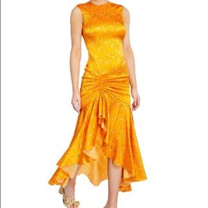 ISO!!! Caroline constas Lonnie maxi dress